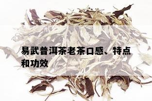 易武普洱茶老茶口感、特点和功效