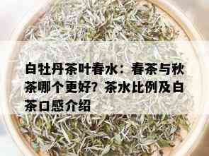 白牡丹茶叶春水：春茶与秋茶哪个更好？茶水比例及白茶口感介绍