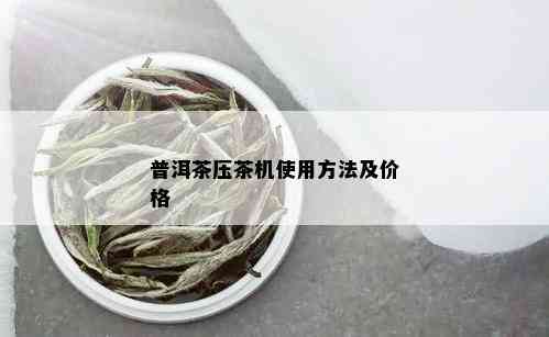 普洱茶压茶机使用方法及价格