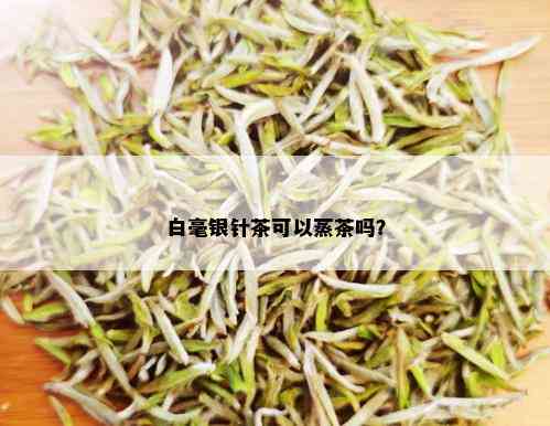 白毫银针茶可以蒸茶吗？