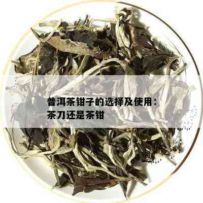 普洱茶钳子的选择及使用：茶刀还是茶钳