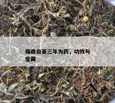 福鼎白茶三年为，功效与宝藏