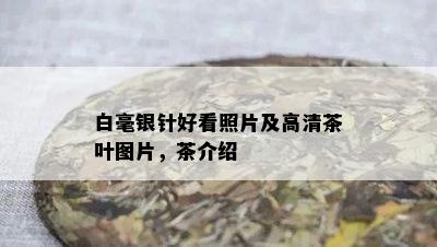 白毫银针好看照片及高清茶叶图片，茶介绍