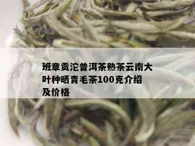 班章贡沱普洱茶熟茶云南大叶种晒青毛茶100克介绍及价格