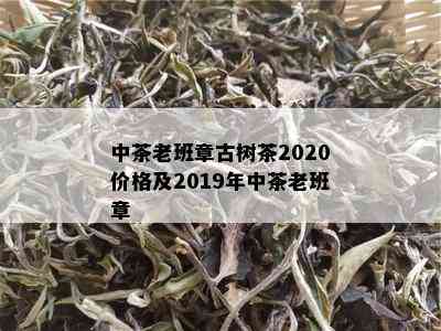 中茶老班章古树茶2020价格及2019年中茶老班章