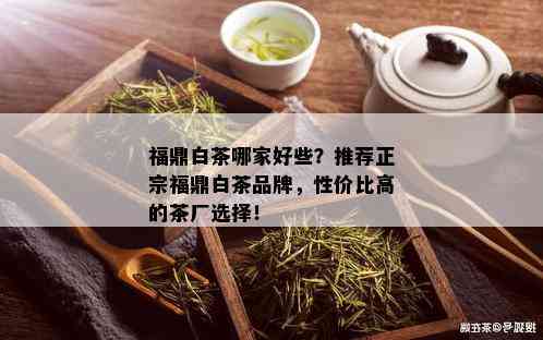 福鼎白茶哪家好些？推荐正宗福鼎白茶品牌，性价比高的茶厂选择！