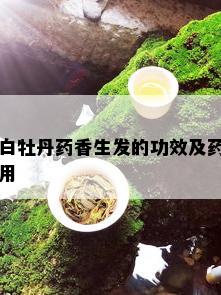 白牡丹香生发的功效及用