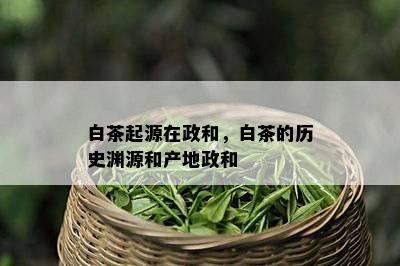 白茶起源在政和，白茶的历史渊源和产地政和