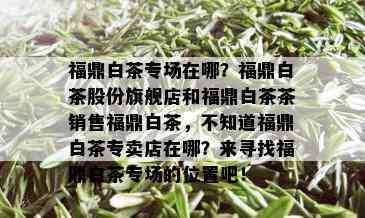 福鼎白茶专场在哪？福鼎白茶股份旗舰店和福鼎白茶茶销售福鼎白茶，不知道福鼎白茶专卖店在哪？来寻找福鼎白茶专场的位置吧！