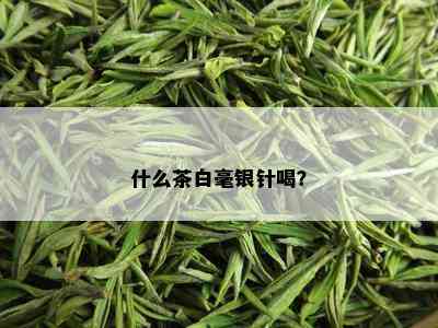 什么茶白毫银针喝？