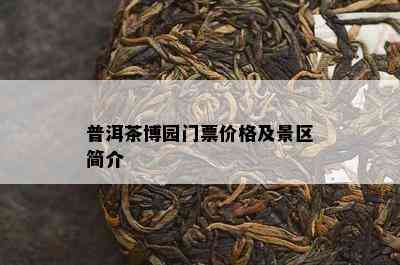 普洱茶博园门票价格及景区简介