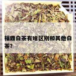 福鼎白茶有啥区别和其他白茶？