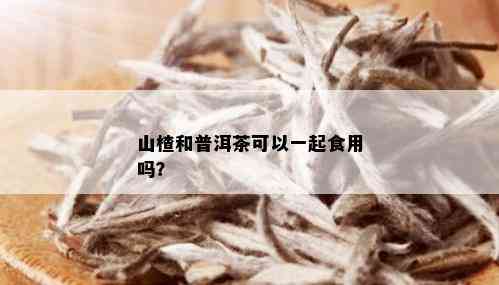 山楂和普洱茶可以一起食用吗？