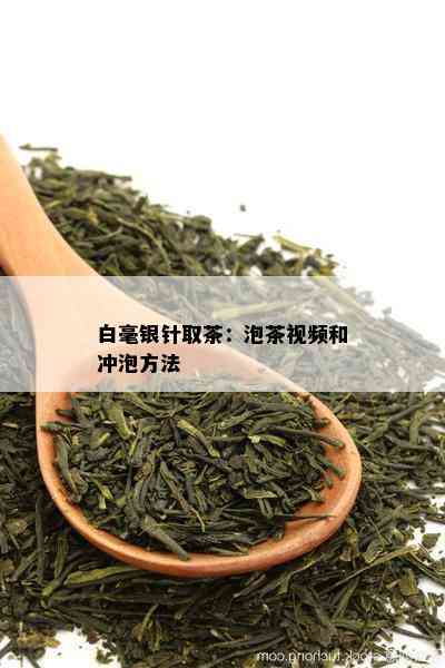 白毫银针取茶：泡茶视频和冲泡方法