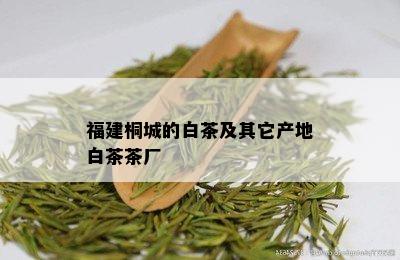 福建桐城的白茶及其它产地白茶茶厂