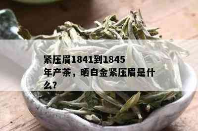 紧压眉1841到1845年产茶，晒白金紧压眉是什么？