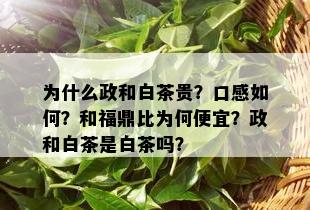 为什么政和白茶贵？口感如何？和福鼎比为何便宜？政和白茶是白茶吗？