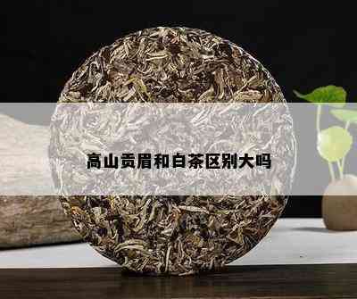 高山贡眉和白茶区别大吗