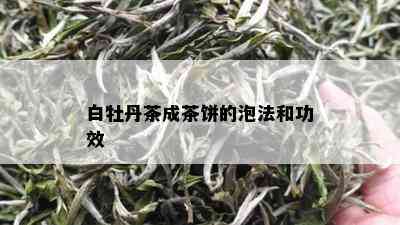 白牡丹茶成茶饼的泡法和功效