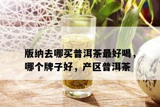 版纳去哪买普洱茶更好喝，哪个牌子好，产区普洱茶