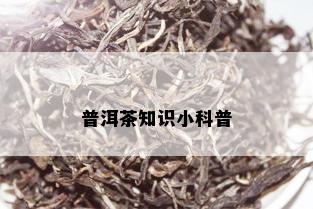 普洱茶知识小科普