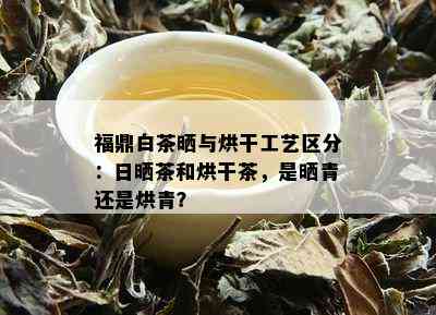 福鼎白茶晒与烘干工艺区分：日晒茶和烘干茶，是晒青还是烘青？