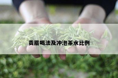 贡眉喝法及冲泡茶水比例