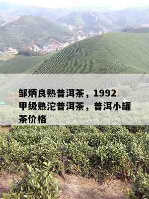 邹炳良熟普洱茶，1992甲级熟沱普洱茶，普洱小罐茶价格