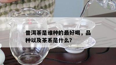 普洱茶是谁种的更好喝，品种以及茶系是什么？