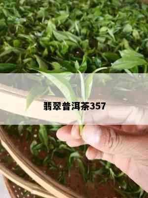 翡翠普洱茶357