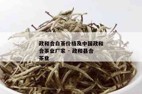 政和合白茶价格及中国政和合茶业厂家 - 政和县合茶业