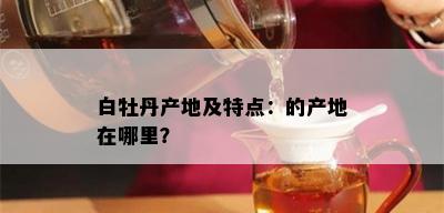 白牡丹产地及特点：的产地在哪里？