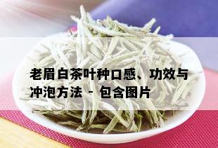 老眉白茶叶种口感、功效与冲泡方法 - 包含图片