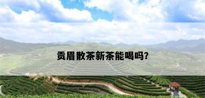 贡眉散茶新茶能喝吗？