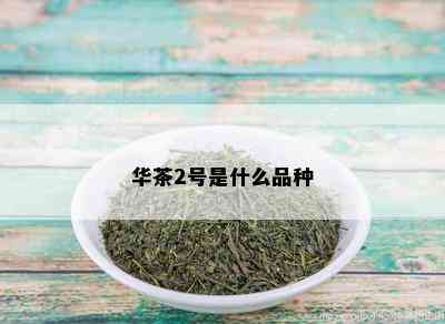 华茶2号是什么品种