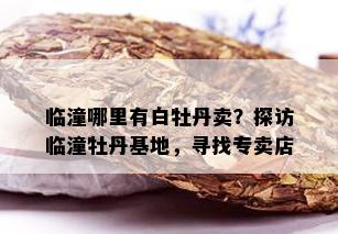 临潼哪里有白牡丹卖？探访临潼牡丹基地，寻找专卖店