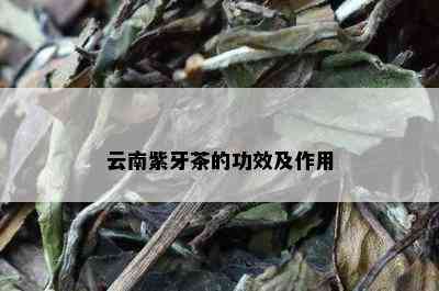 云南紫牙茶的功效及作用