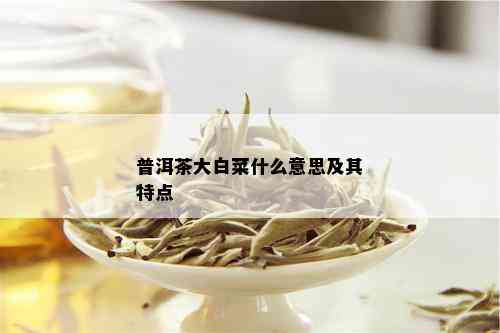 普洱茶大白菜什么意思及其特点