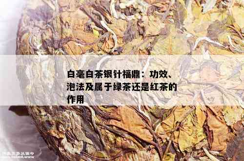 白毫白茶银针福鼎：功效、泡法及属于绿茶还是红茶的作用