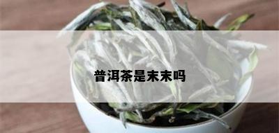 普洱茶是末末吗