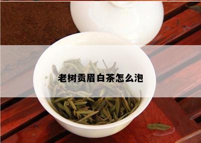 老树贡眉白茶怎么泡