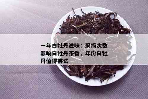 一年白牡丹滋味：采摘次数影响白牡丹茶香，年份白牡丹值得尝试