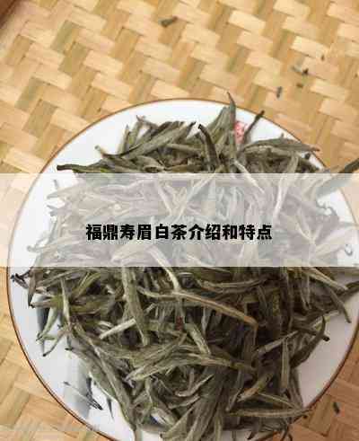 福鼎寿眉白茶介绍和特点