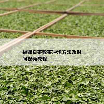 福鼎白茶散茶冲泡方法及时间视频教程