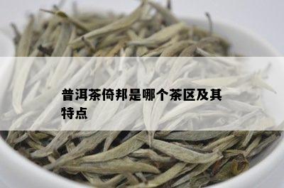 普洱茶倚邦是哪个茶区及其特点