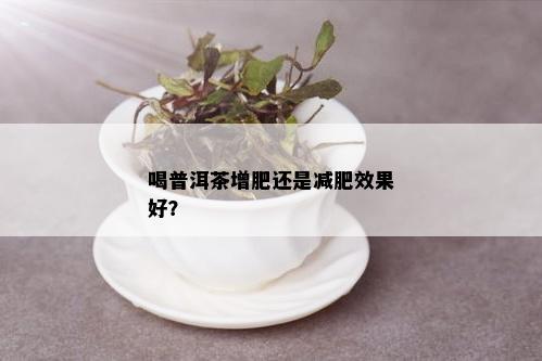 喝普洱茶增肥还是减肥效果好？