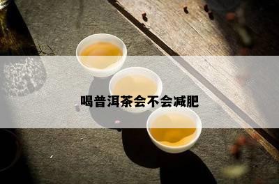 喝普洱茶会不会减肥