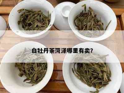 白牡丹茶菏泽哪里有卖？