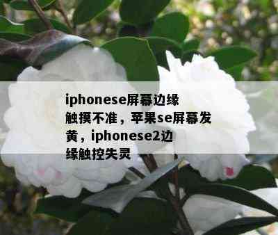 iphonese屏幕边缘触摸不准，苹果se屏幕发黄，iphonese2边缘触控失灵