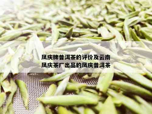 凤庆牌普洱茶的评价及云南凤庆茶厂出品的凤庆普洱茶